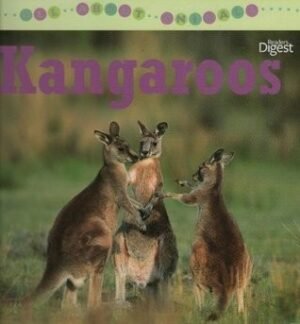 All About Animals: Kangaroos