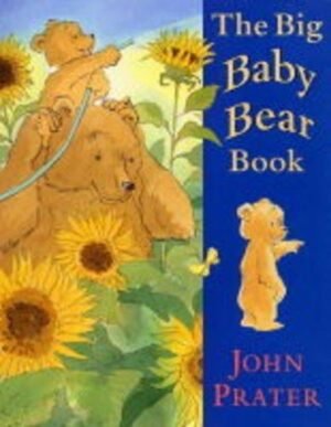 The Big Baby Bear Book