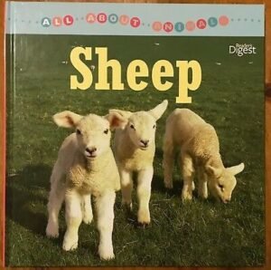 All about animals: sHEEP Reader's Digest Young Families