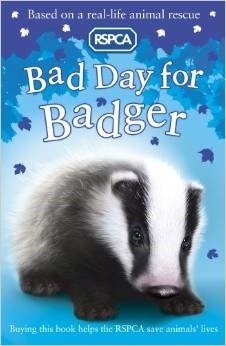 Bad day for badger