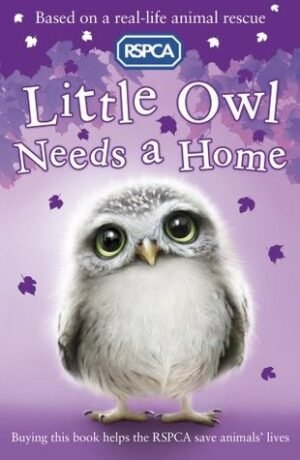 Little Owl Needs a Home (RSPCA, 5)