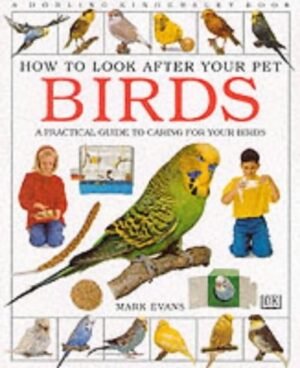 How to Look After Your Pet: Birds (How to Look After Your Pet)