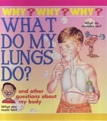 What do my lungs do?, What are teeth for? What do muscles do? and other questions about my body (Why, Why, Why)