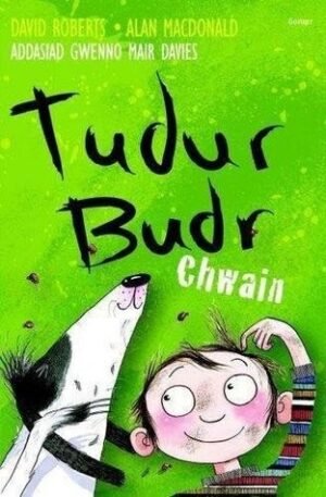 Tudur Budr: Chwain (Tudur Budur)