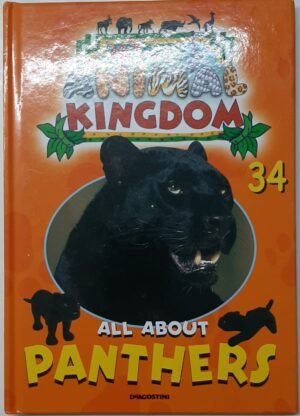 All About Panthers (My Animal Kingdom nr. 34)