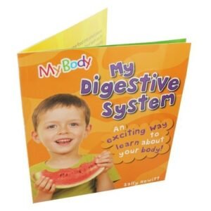 My Digestive Systemmy - My Body