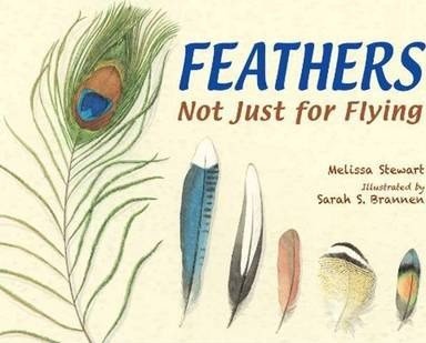 Feathers NOT JUST FOR FLYING