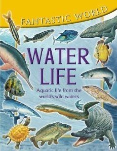 Water Life (Fantastic World)