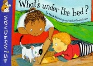 What's Under The Bed?: A book about the Earth beneath Us (Wonderwise)