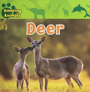 Deer (All About Animals) Reader's Digest Young Families