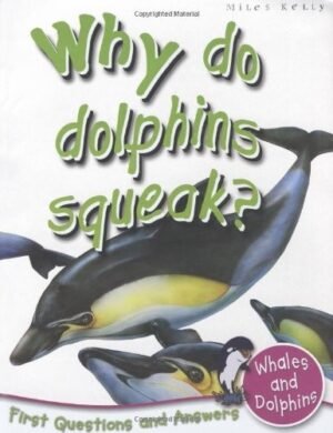 Why Do Dolphins squeak?