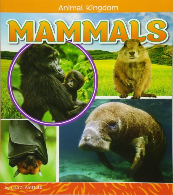 Mammals - Animal Kingdom