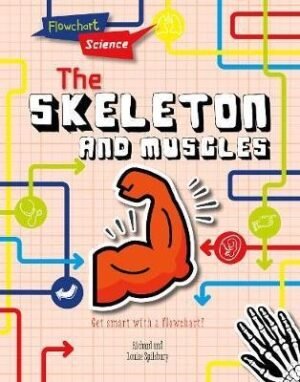 The Skeleton and Muscles (Flowchart Science: The Human Body)