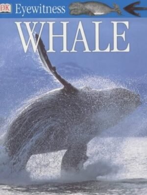 Whale (Eyewitness Guides)