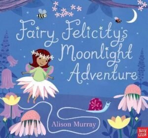 Fairy Felicity's Moonlight Adventure (Alison Murray Glitter Books)