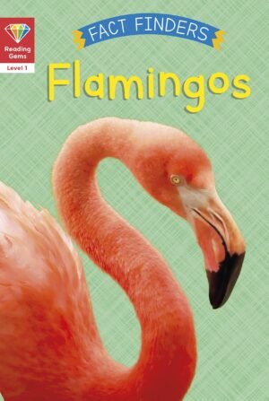 Flamingos (Fact Finders)